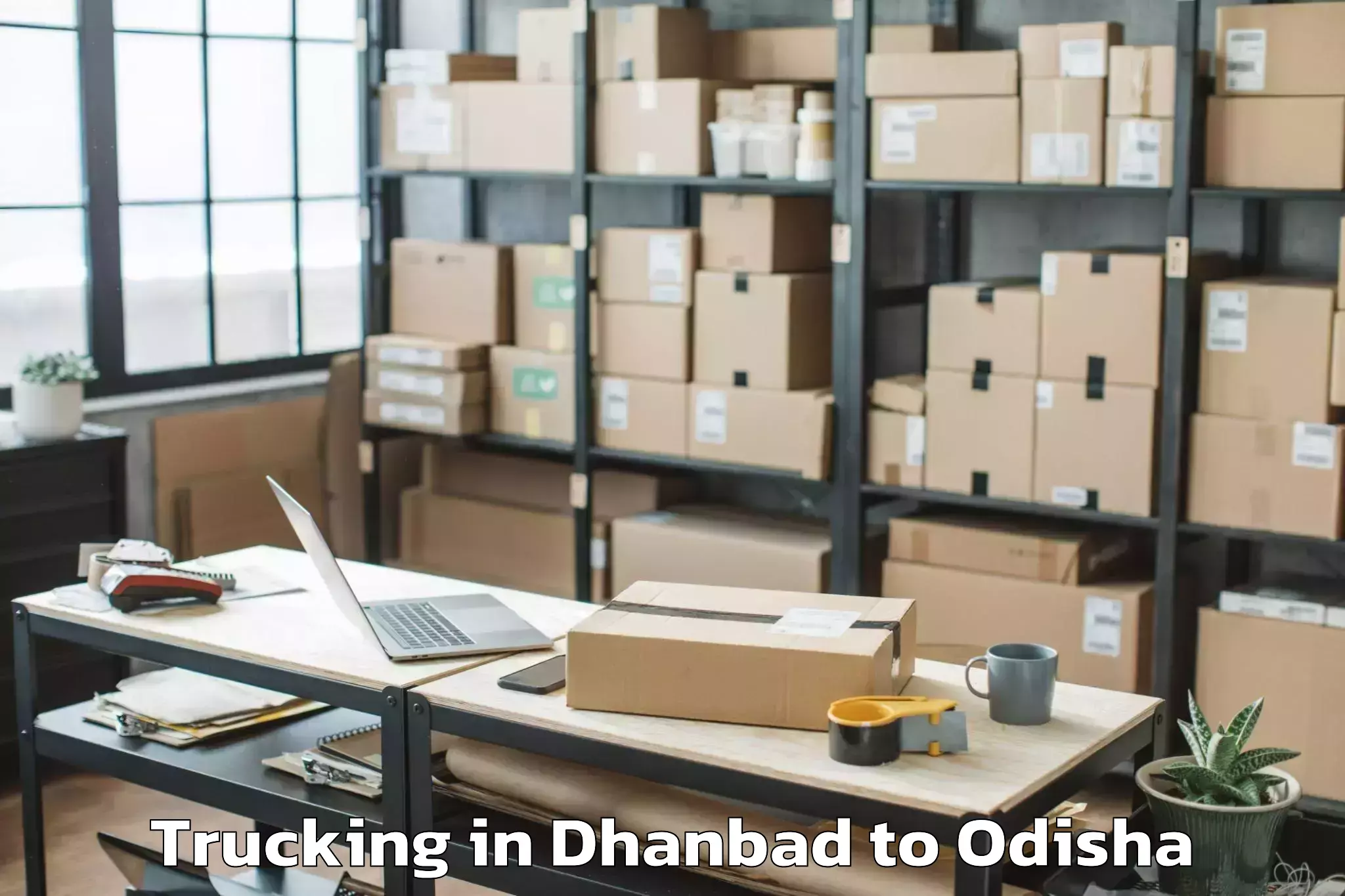 Easy Dhanbad to Nandipada Trucking Booking